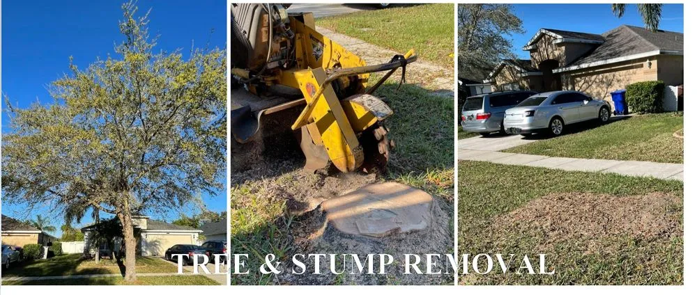 Affordable garden landscaping for year-round maintenance in Kissimmee, FL by Amazing Grace Landscaping