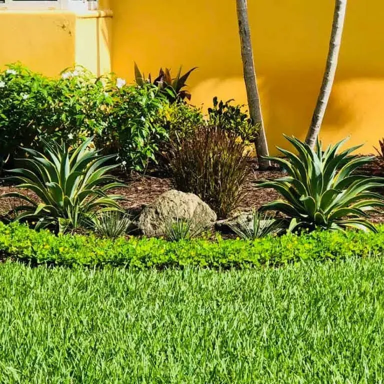 Custom garden landscaping in Kissimmee, FL - Amazing Grace Landscaping