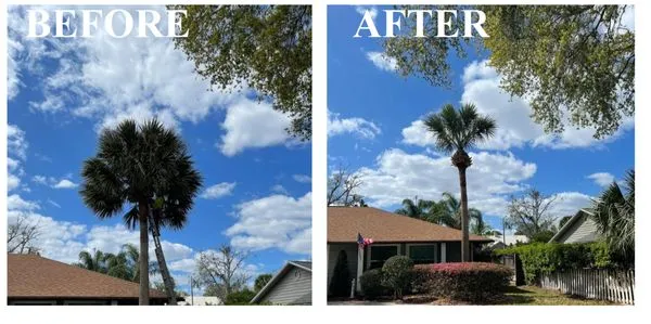 Amazing Grace Landscaping Logo