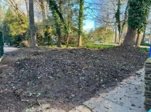 Trusted landscaping services near you across Duluth, GA - Amazing Grace Solutions