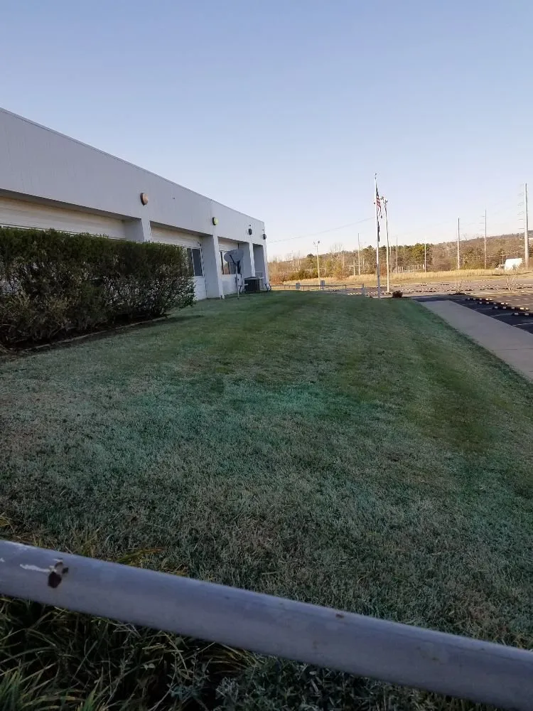 Professional lawn mowing service for homes across Lamar, AR - Amazing Grass Lawncare