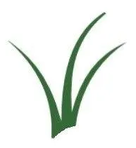 Custom landscape design for beautiful yards in Bel Air, MD by Amazing Grass Professional Turf Solutions