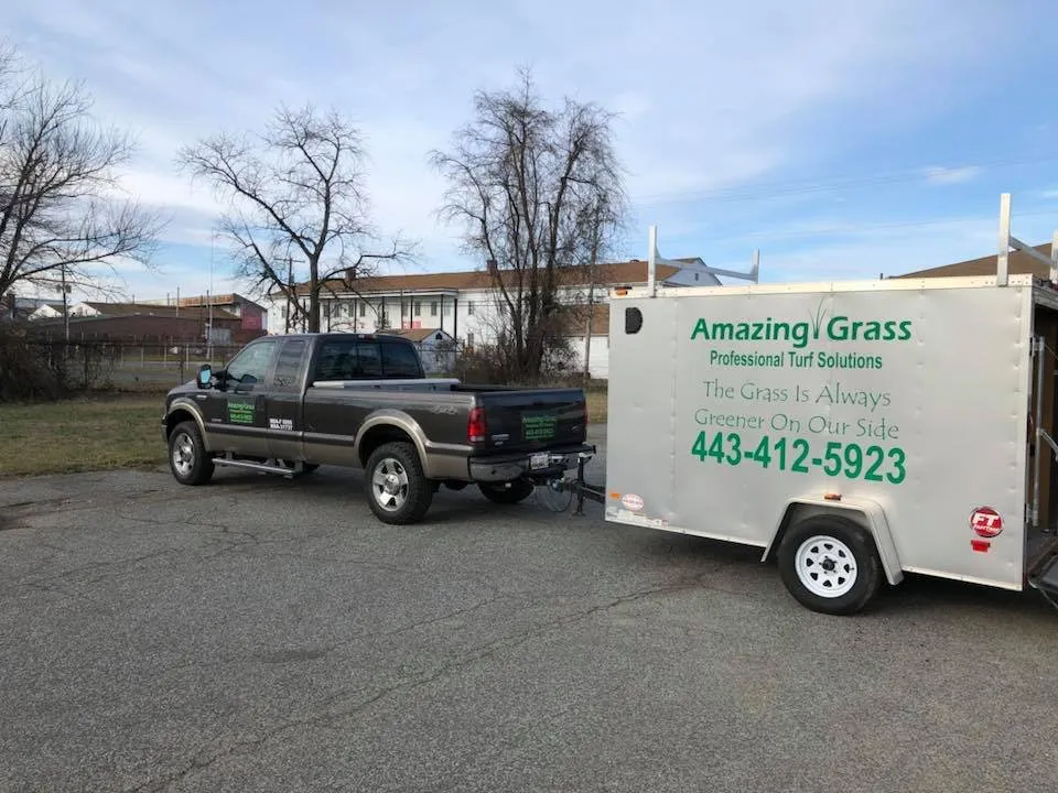 Professional landscaping services for year-round maintenance across Bel Air, MD - Amazing Grass Professional Turf Solutions