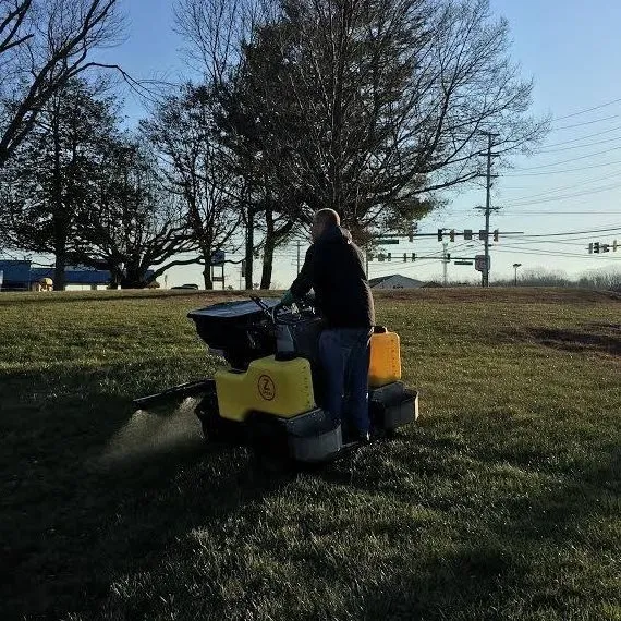 Custom garden landscaping for year-round maintenance in Bel Air, MD by Amazing Grass Professional Turf Solutions