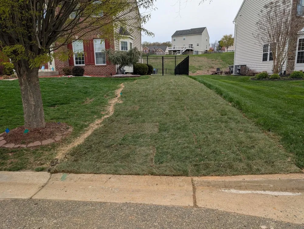 Custom outdoor landscaping in Bel Air, MD by Amazing Grass Professional Turf Solutions