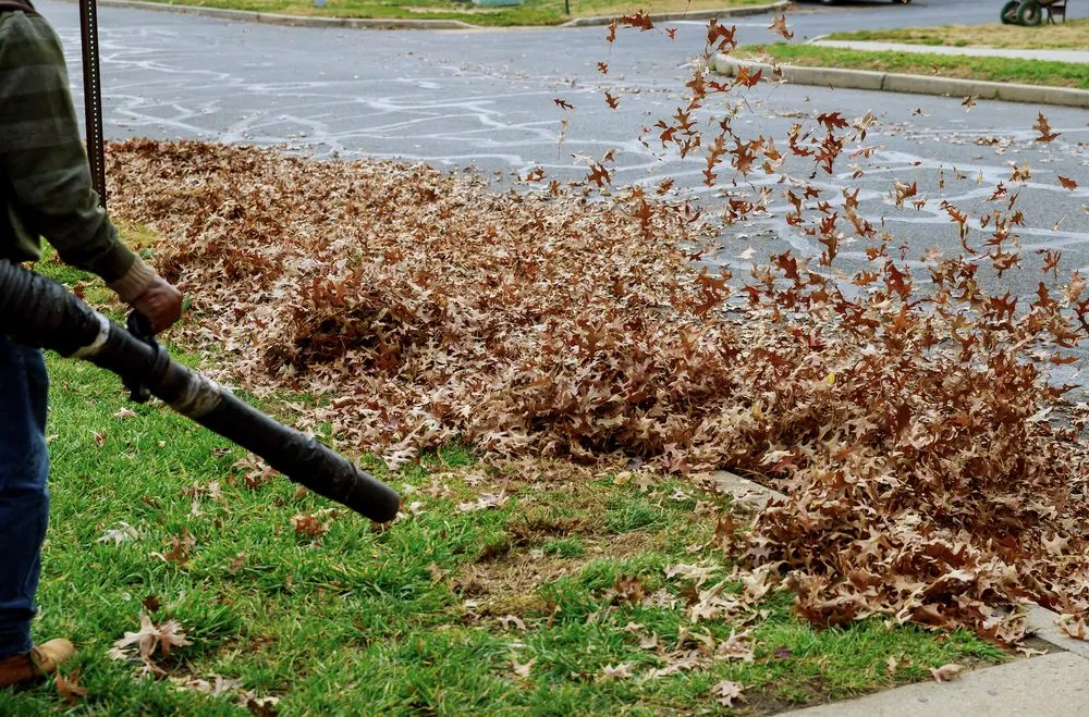 Local lawn mowing service in Bel Air, MD - Amazing Grass Professional Turf Solutions