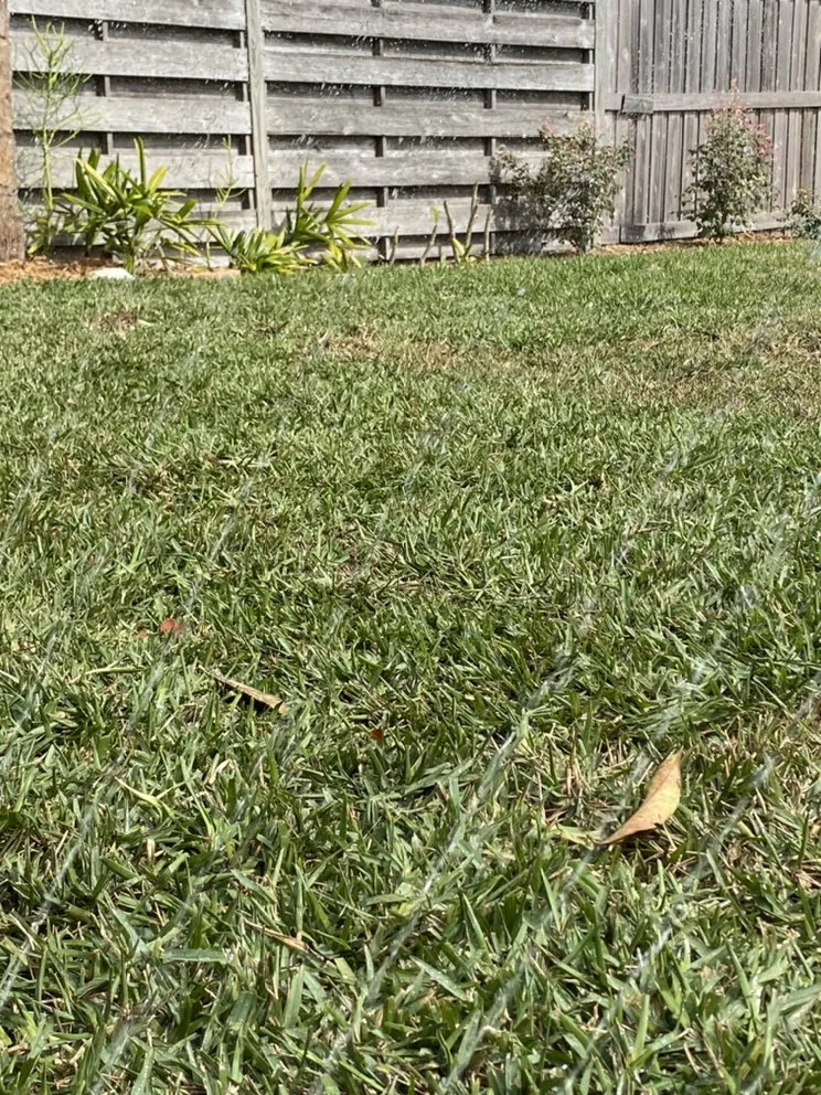 Custom outdoor landscaping in Bradenton, FL by Amazing Landscape Service