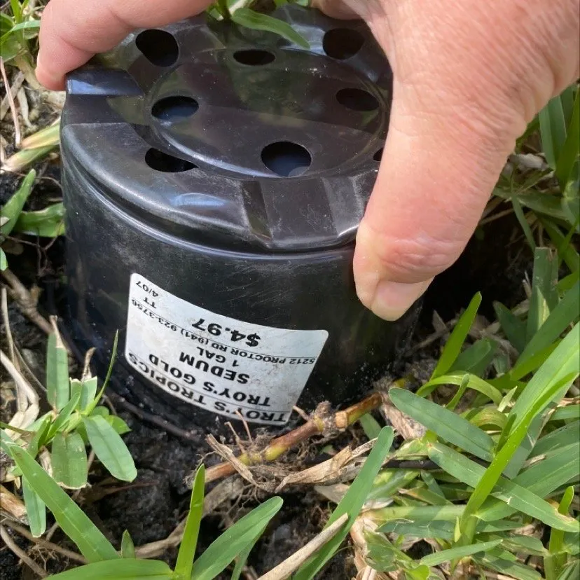 Local lawn care service in Bradenton, FL by Amazing Landscape Service