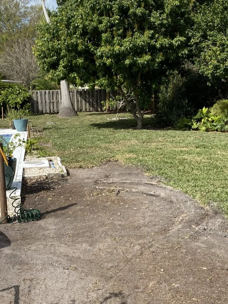 Professional landscape design in Bradenton, FL - Amazing Landscape Service