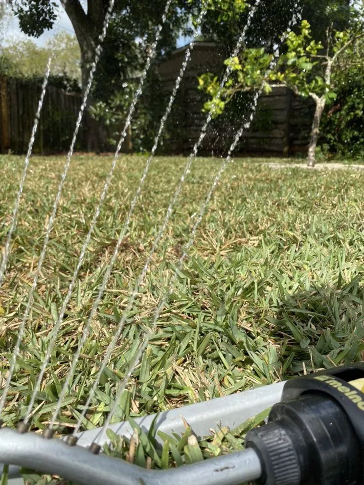 Professional landscape installation for outdoor upgrades across Bradenton, FL - Amazing Landscape Service