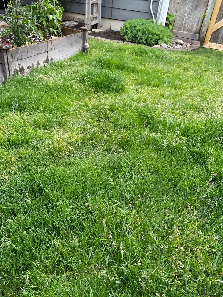 Custom garden landscaping near you in Edgewood, WA by Amazing Landscape Services