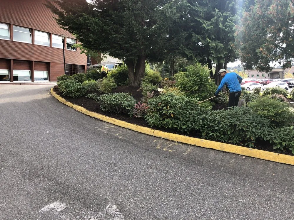 Professional landscape design in Edgewood, WA - Amazing Landscape Services