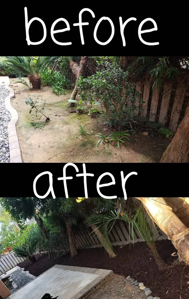 Top-rated yard cleanup service near you in Oceanside, CA by Amazing Landscaper