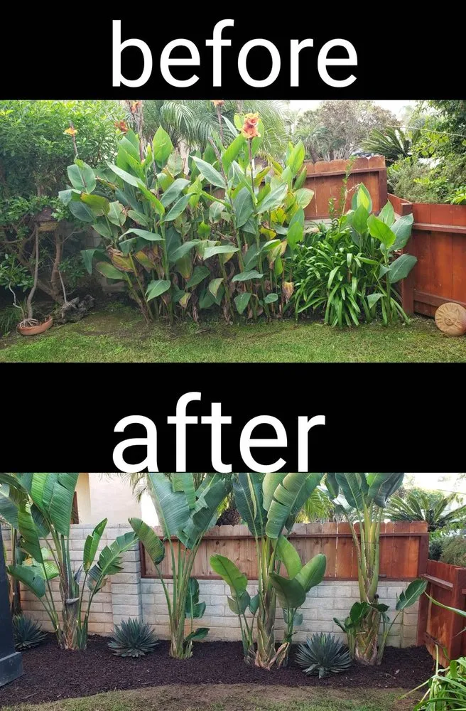 Trusted residential landscaping with custom design in Oceanside, CA by Amazing Landscaper