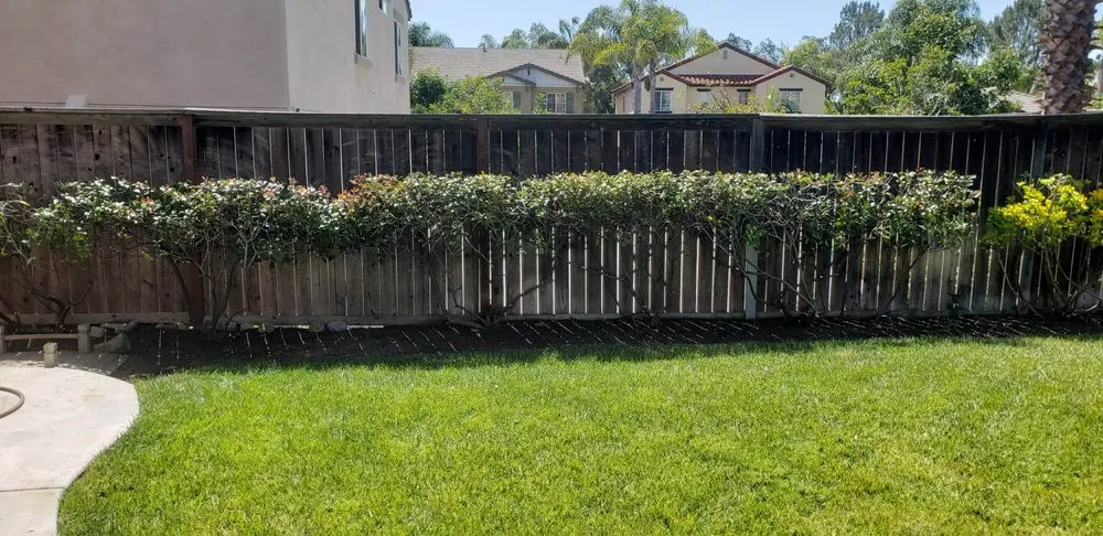 Custom landscape design with custom design across Oceanside, CA - Amazing Landscaper