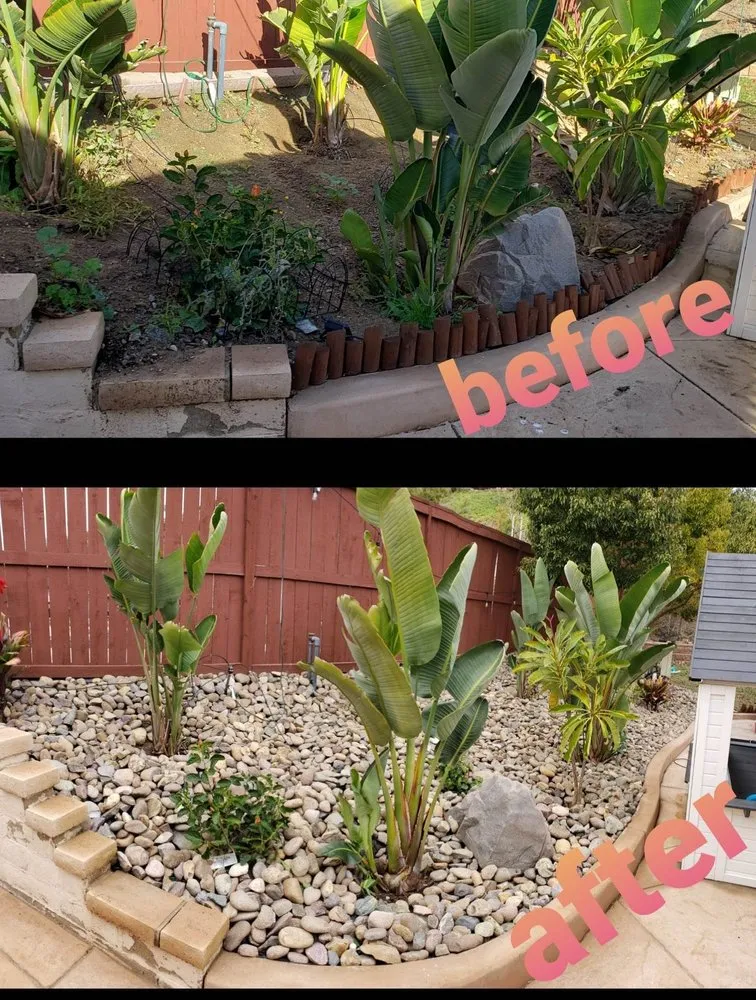 Affordable lawn mowing service with custom design across Oceanside, CA - Amazing Landscaper