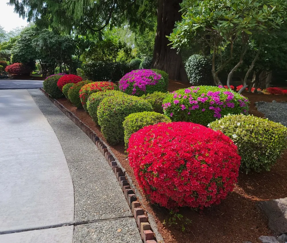 Trusted landscape installation in Lake Stevens, WA by Amazing Landscapes