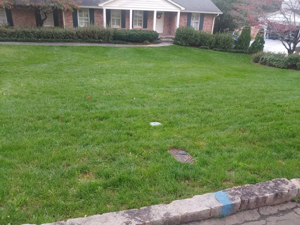 Top-rated garden landscaping experts serving Courtland, AL - Amazing Landscaping