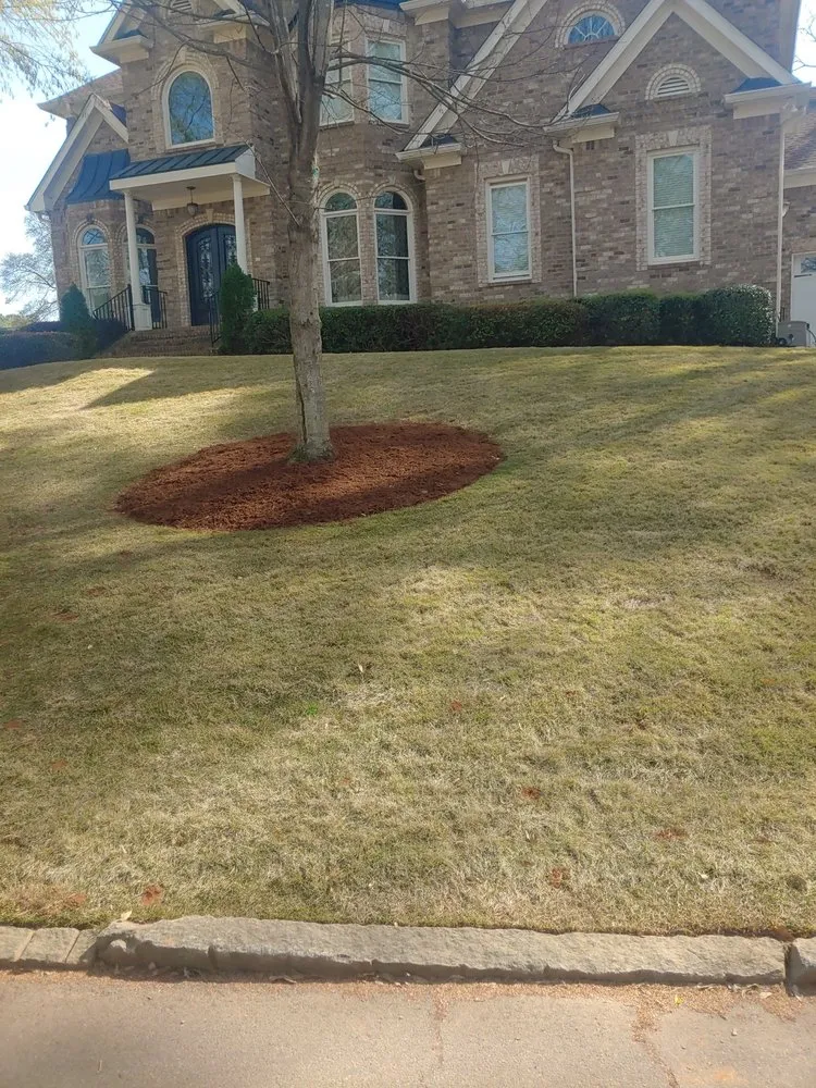 Affordable yard cleanup service for year-round maintenance in Courtland, AL by Amazing Landscaping