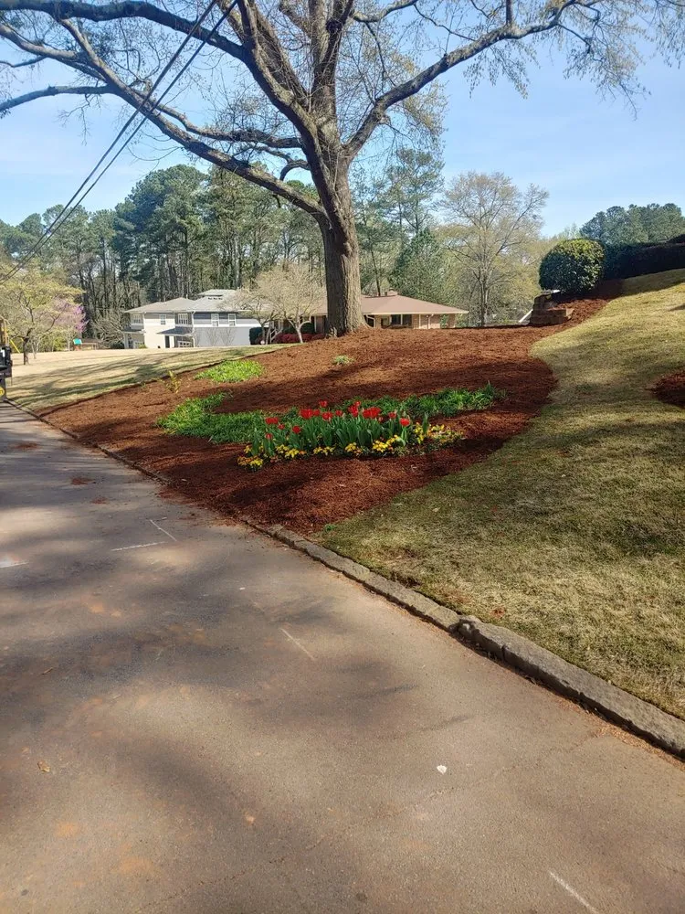 Trusted landscaping services in Courtland, AL - Amazing Landscaping