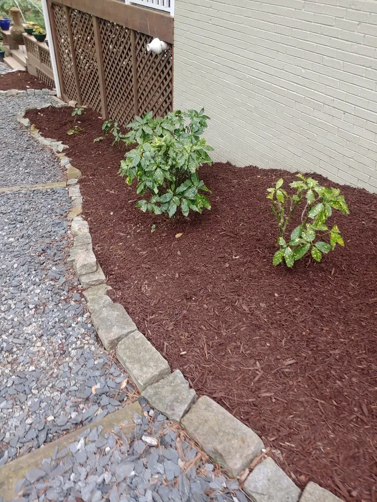 Reliable residential landscaping experts serving Courtland, AL - Amazing Landscaping