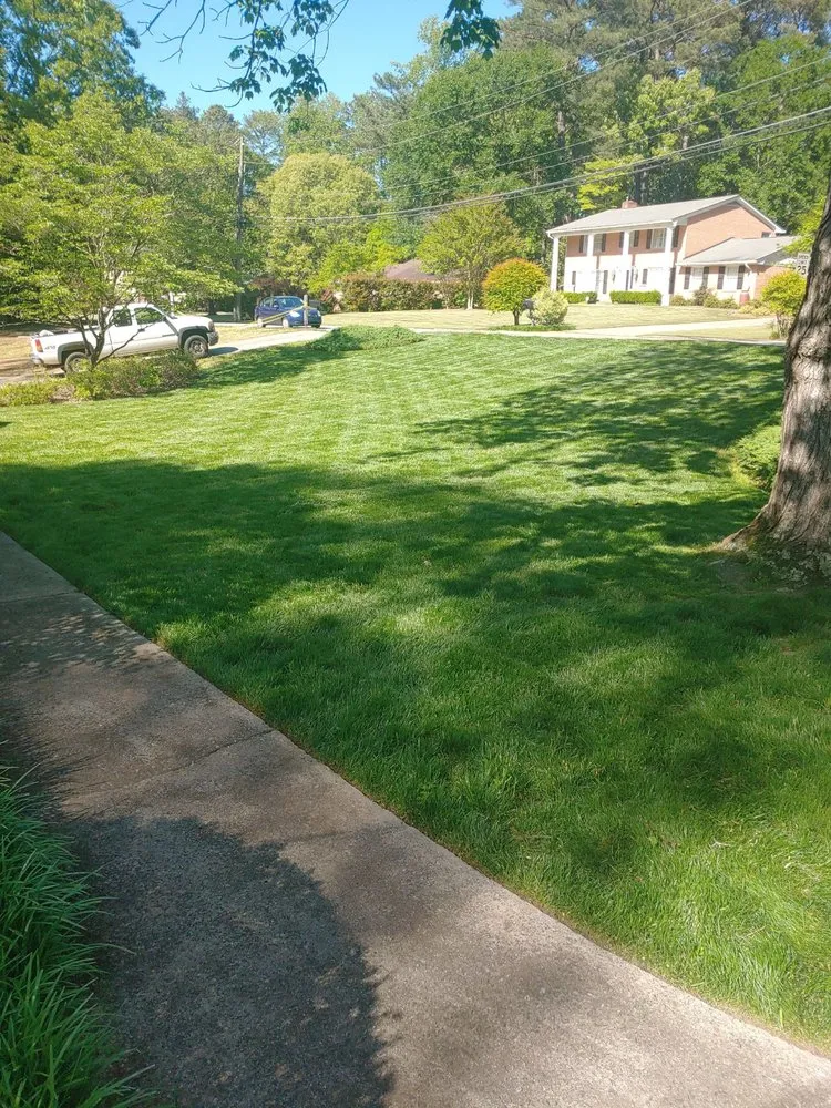 Trusted outdoor landscaping for residential properties in Courtland, AL by Amazing Landscaping