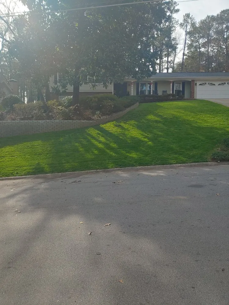 Custom landscaping services for outdoor upgrades in Courtland, AL by Amazing Landscaping