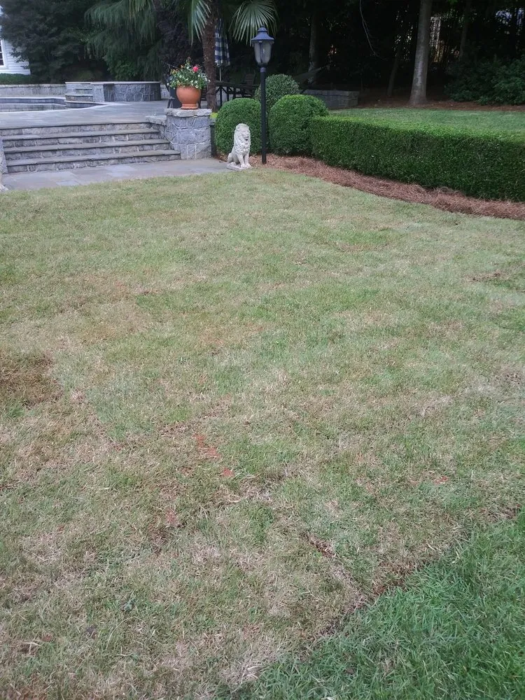 Affordable lawn mowing service experts serving Courtland, AL - Amazing Landscaping