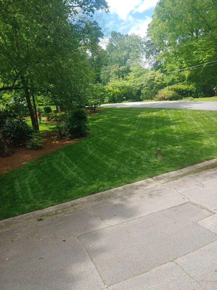 Top-rated yard cleanup service with custom design across Courtland, AL - Amazing Landscaping