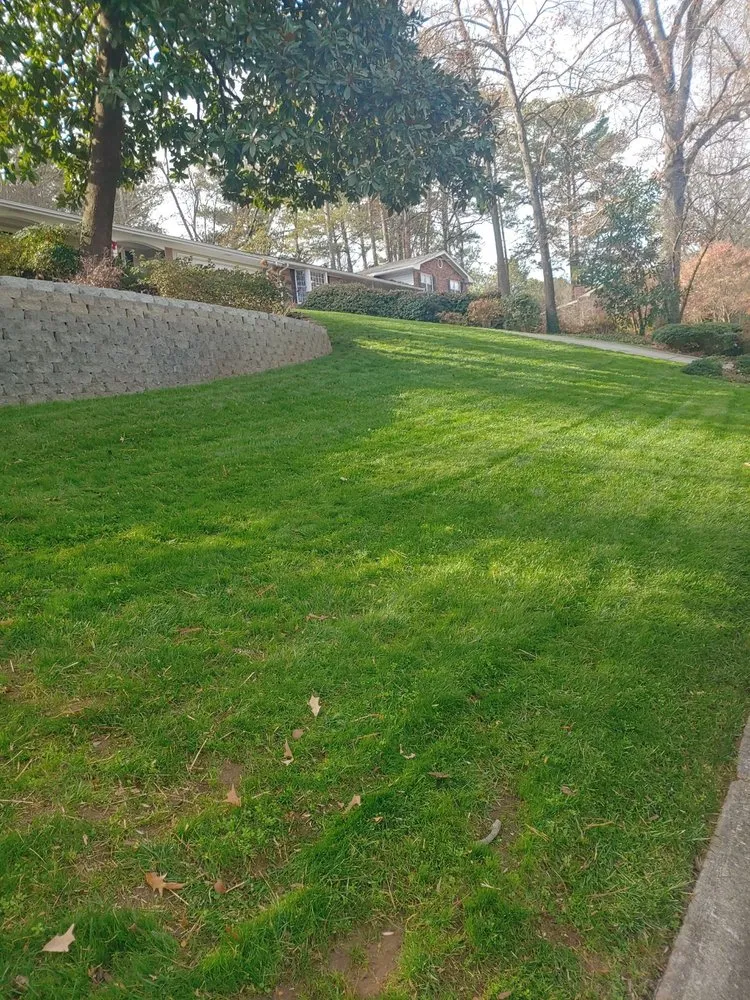 Local lawn care service for outdoor upgrades across Courtland, AL - Amazing Landscaping