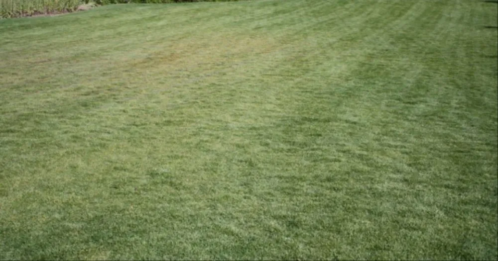 Top-rated landscape design in Calhoun, GA by amazing lawn care and home improvement