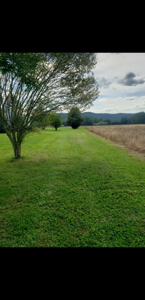 Reliable landscape design in Calhoun, GA by amazing lawn care and home improvement