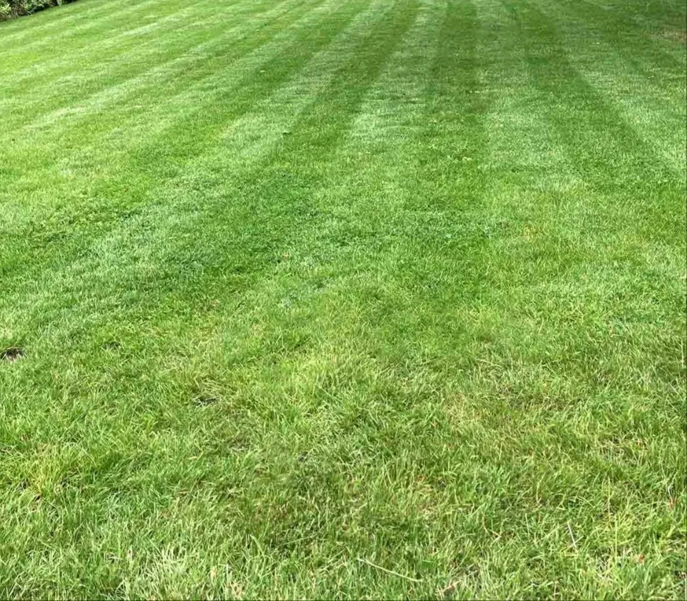 Trusted lawn care service in Calhoun, GA by amazing lawn care and home improvement