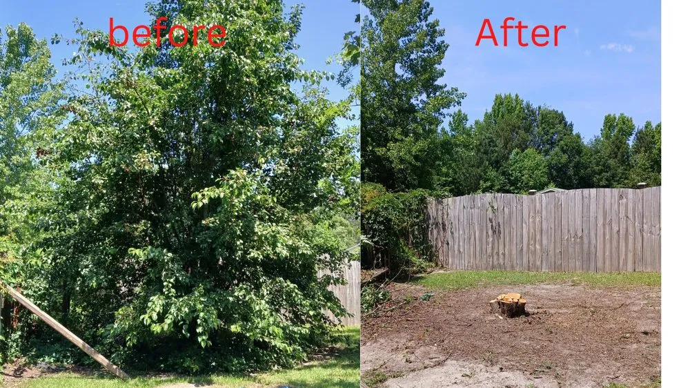 Professional landscape installation experts serving Columbia, SC - Amazing Lawn Care