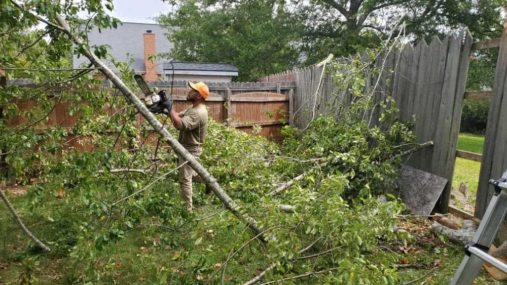 Top-rated landscaping services experts serving Columbia, SC - Amazing Lawn Care