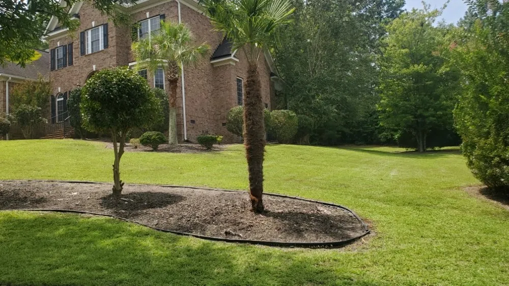 Professional landscaping services for residential properties in Columbia, SC by Amazing Lawn Care