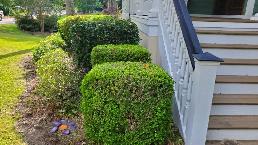 Reliable residential landscaping for outdoor upgrades in Columbia, SC by Amazing Lawn Care