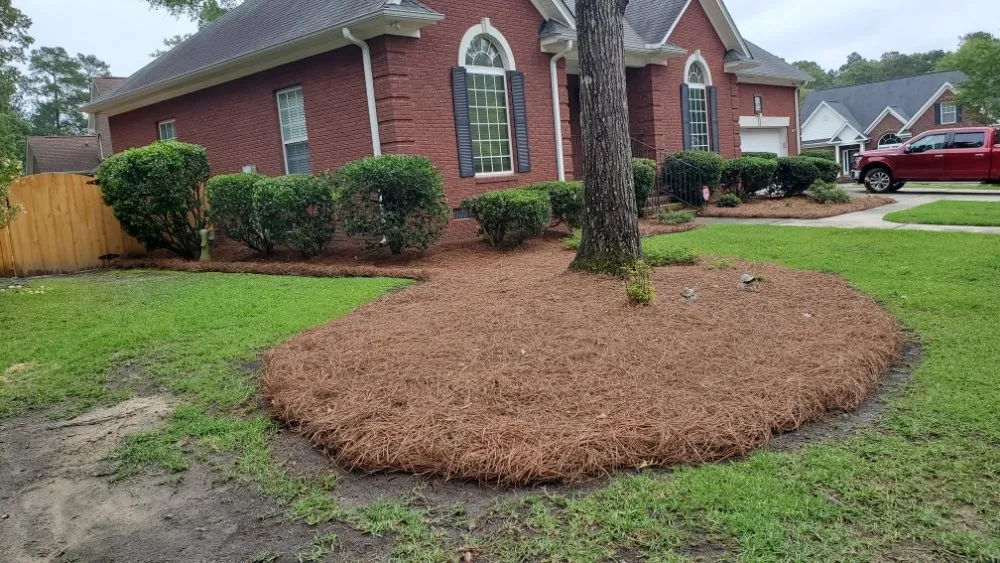 Custom garden landscaping in Columbia, SC - Amazing Lawn Care