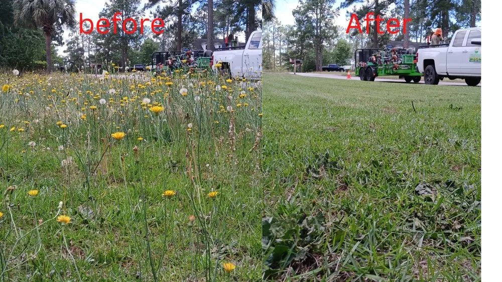 Local lawn care service experts serving Columbia, SC - Amazing Lawn Care