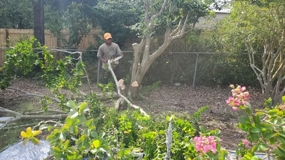 Custom lawn mowing service for homes in Columbia, SC by Amazing Lawn Care