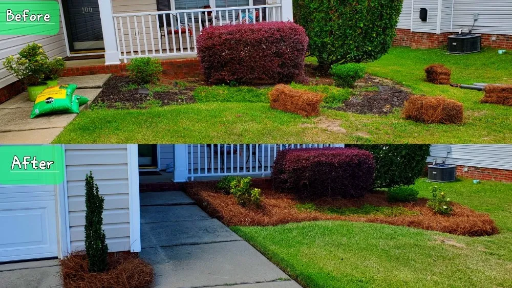 Trusted lawn care service experts serving Columbia, SC - Amazing Lawn Care