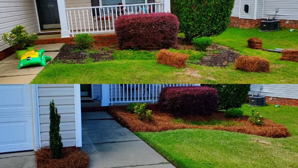 Top-rated lawn care service in Columbia, SC - Amazing Lawn Care
