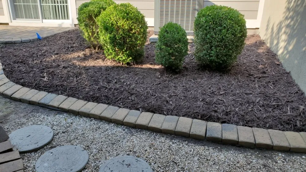 Professional residential landscaping in Columbia, SC by Amazing Lawn Care