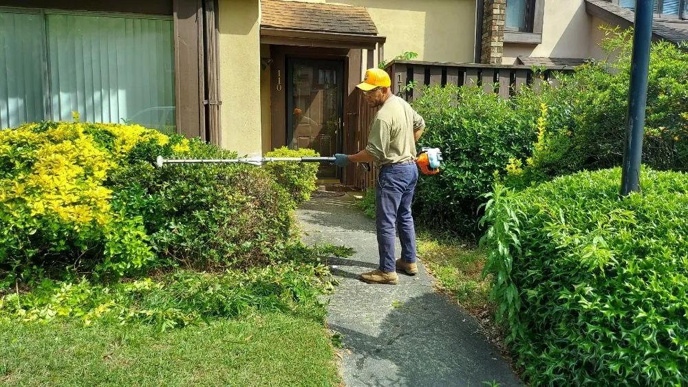 Top-rated landscape installation in Columbia, SC - Amazing Lawn Care