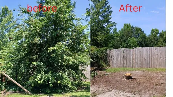 Amazing Lawn Care Logo