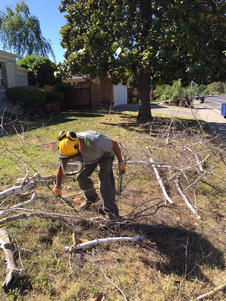 Custom outdoor landscaping in Sacramento, CA - Amazing Lawn Service