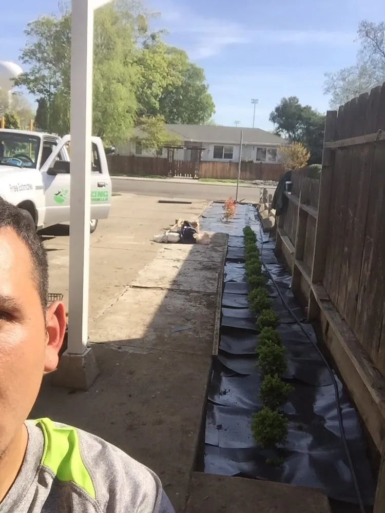 Top-rated yard cleanup service near you across Sacramento, CA - Amazing Lawn Service