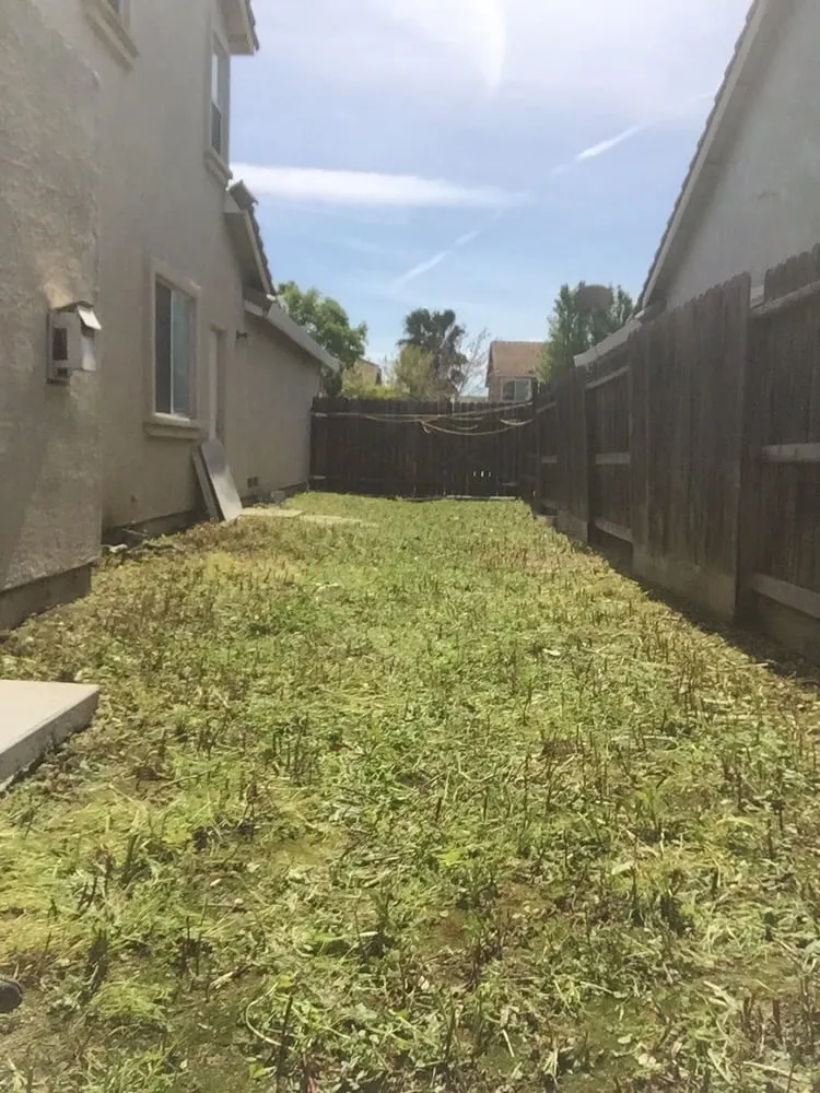 Expert residential landscaping experts serving Sacramento, CA - Amazing Lawn Service