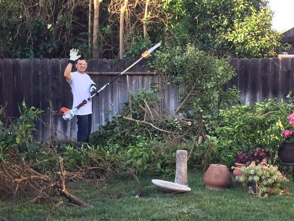 Local landscape design experts serving Sacramento, CA - Amazing Lawn Service