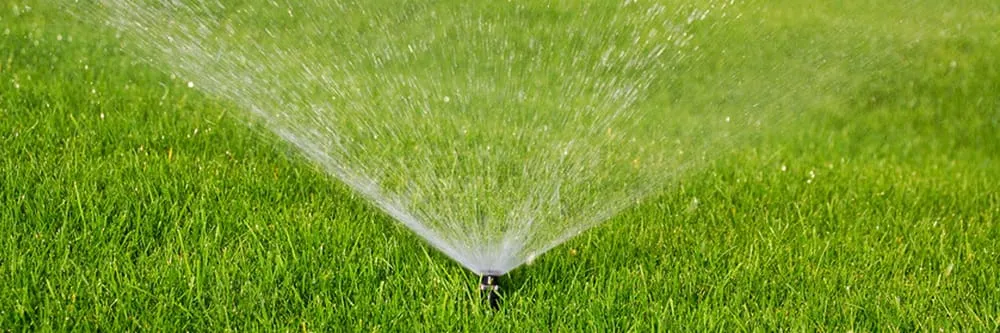 Affordable landscape installation for residential properties in Tucson, AZ by Amazing Rakes Landscaping